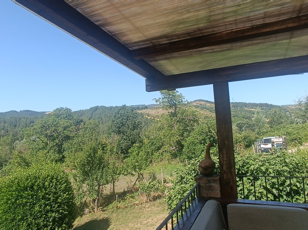 Agriturismo Podere Asche主图