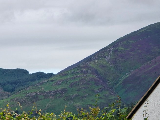 Claremont House and The Nook-官方