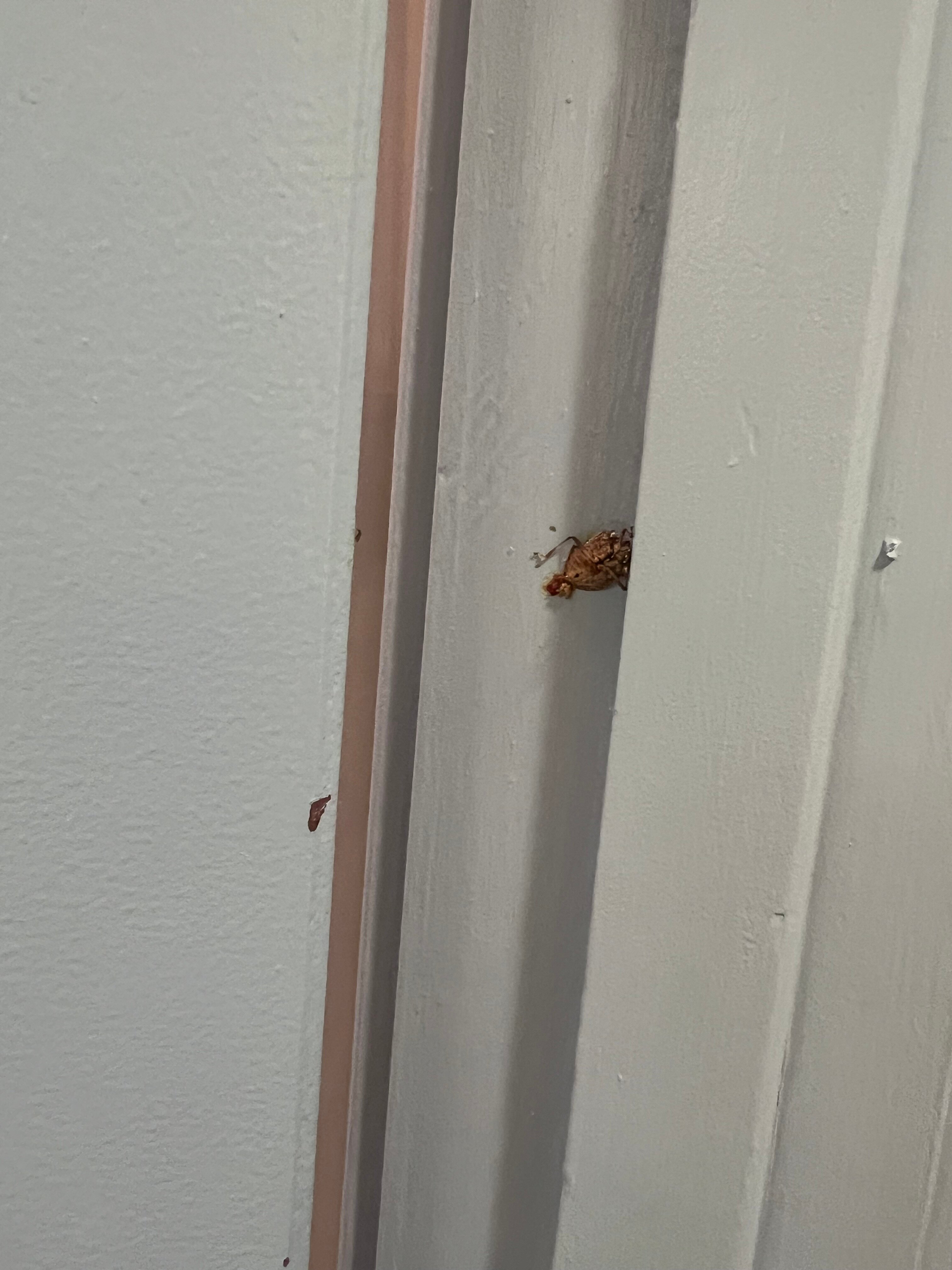 The Farmington Inn-官方