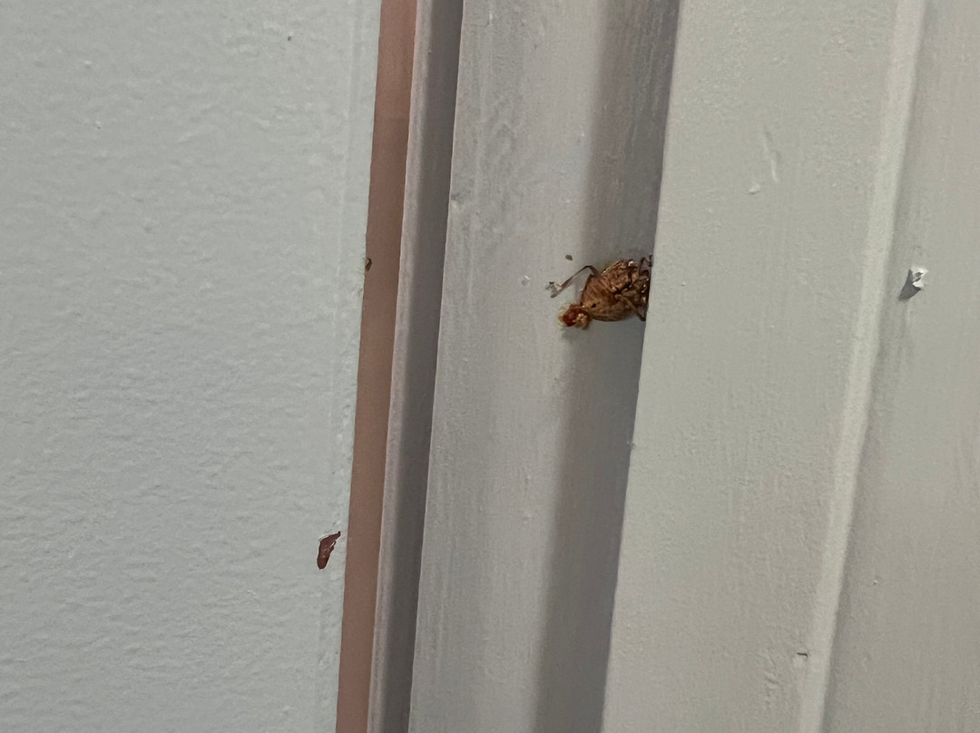 The Farmington Inn主图