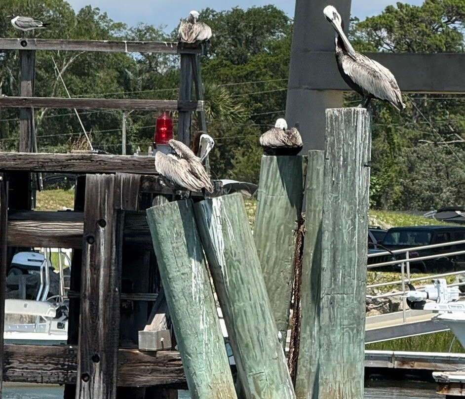 Cruisin' Tikis Holden Beach-Supply必去景点