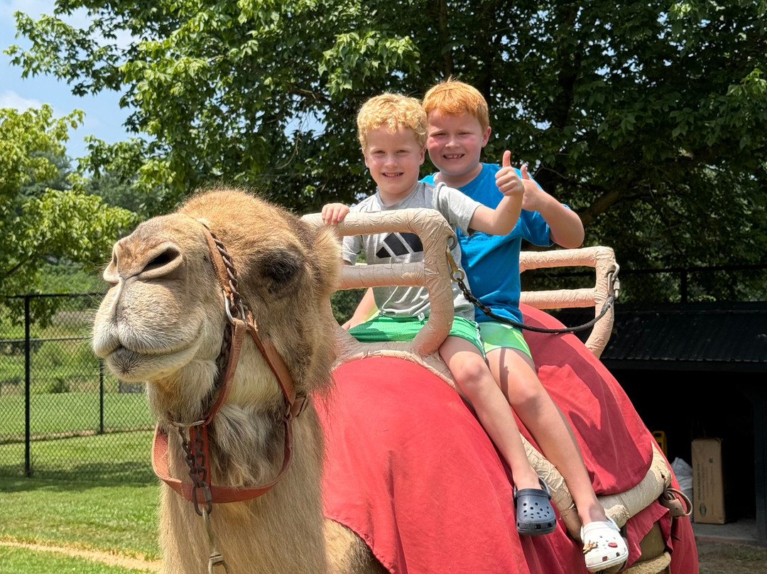 Nova Wild-维也纳必去景点