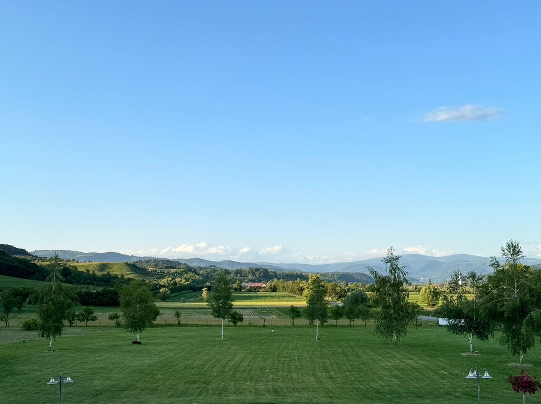 Gerendas Panzio主图