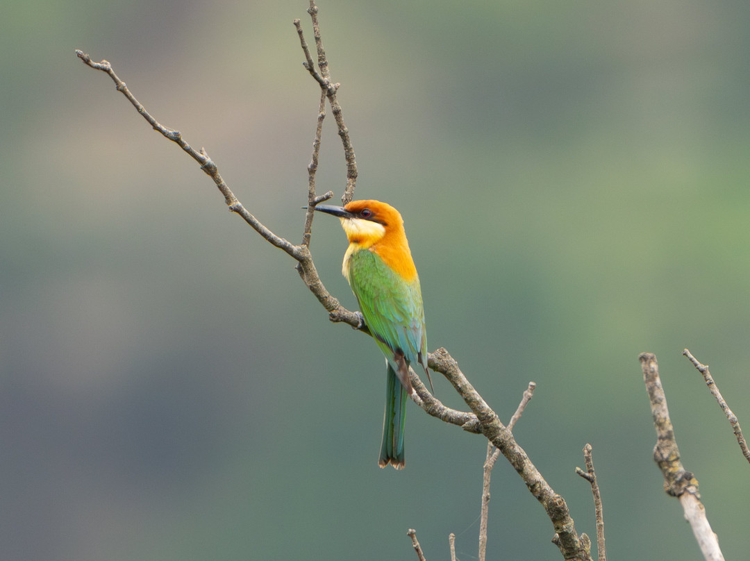 Asian Adventures-诺伊达必去景点