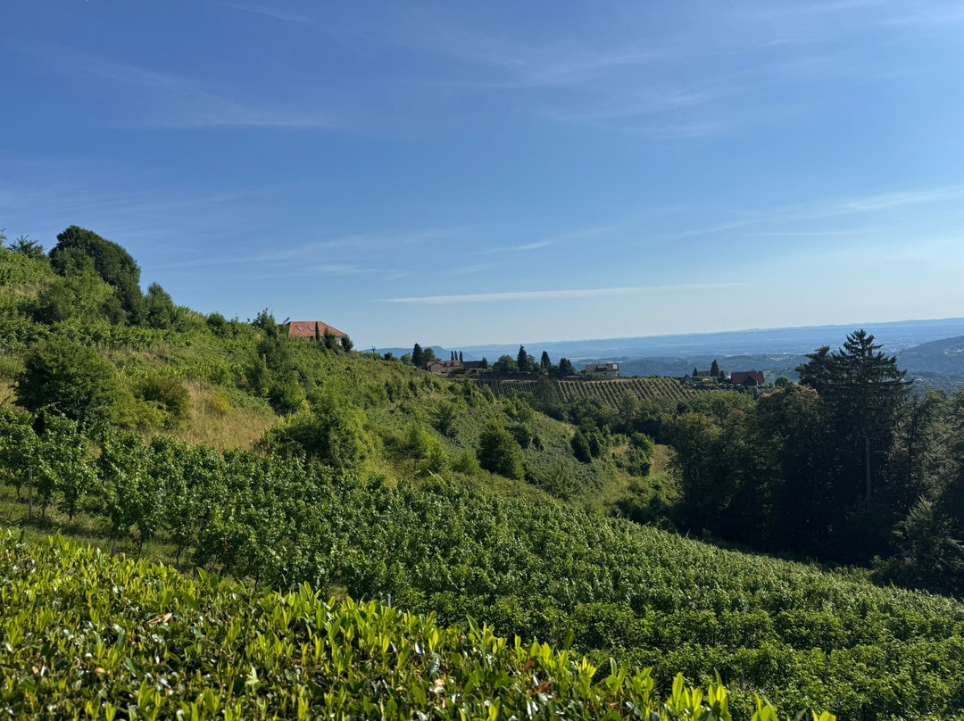 Wohlmuth-Lückl主图