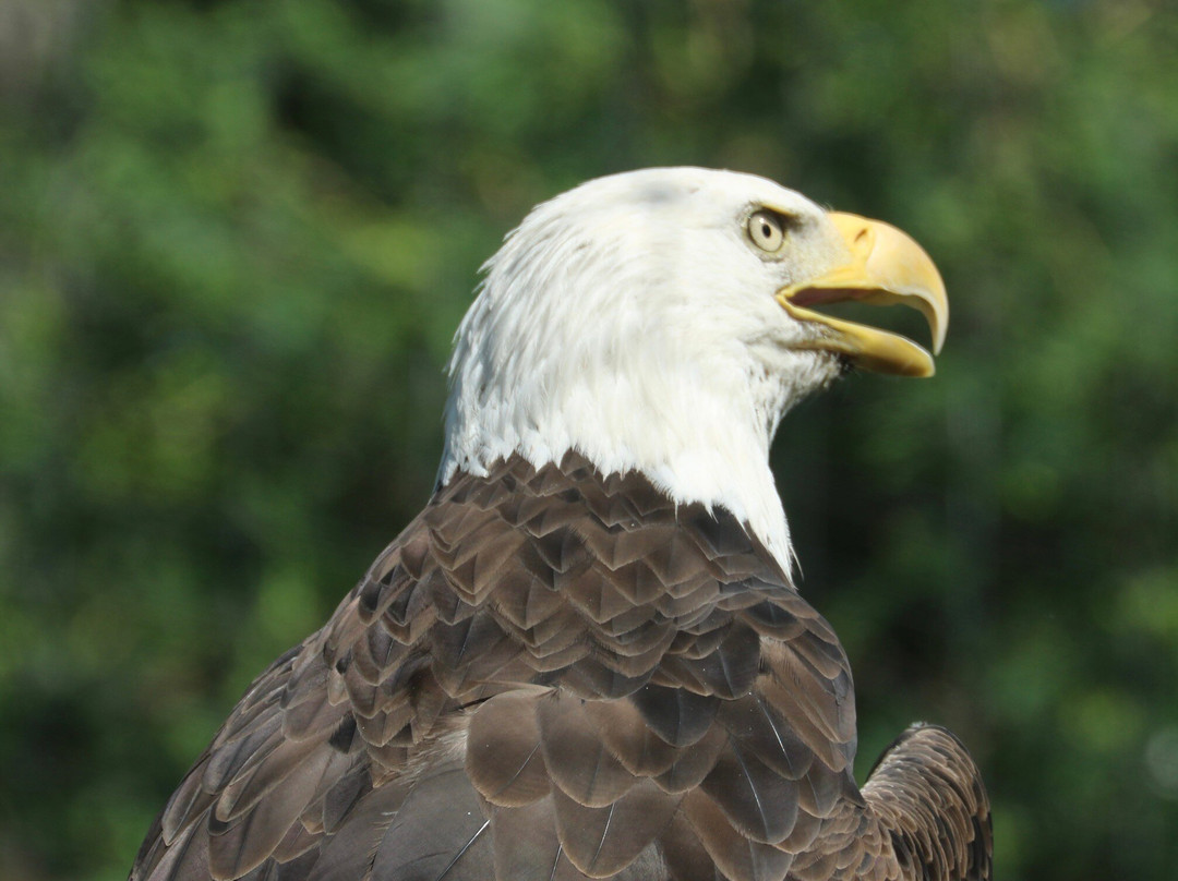 Bay Beach Wildlife Sanctuary-格林贝必去景点