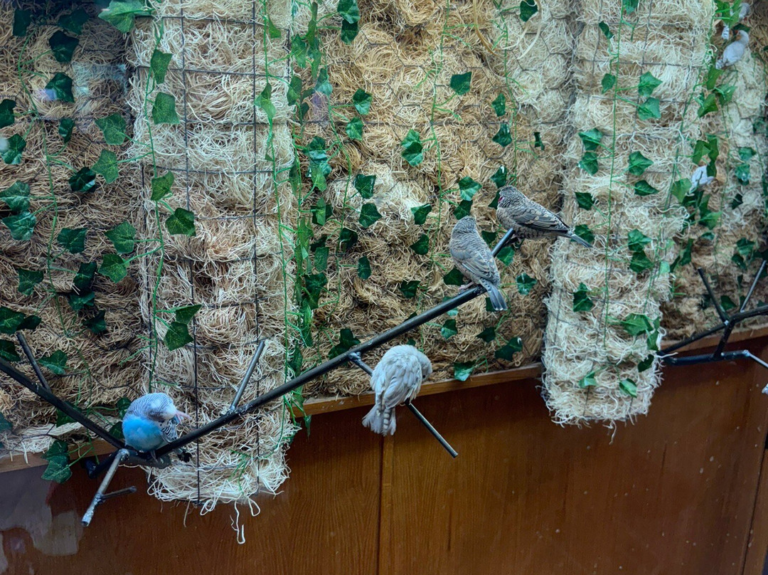 Aikman Wildlife Adventure-Arcola必去景点