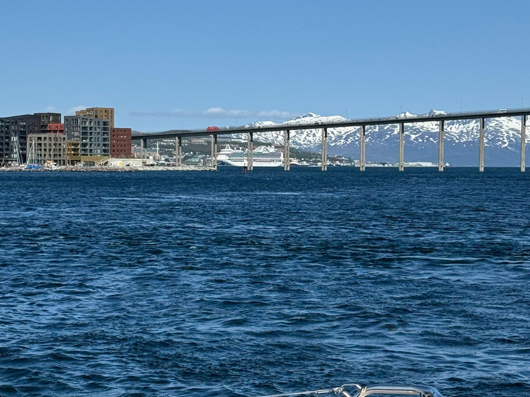 Arctic Cruise In Norway AS - Day Tours-特罗姆瑟必去景点