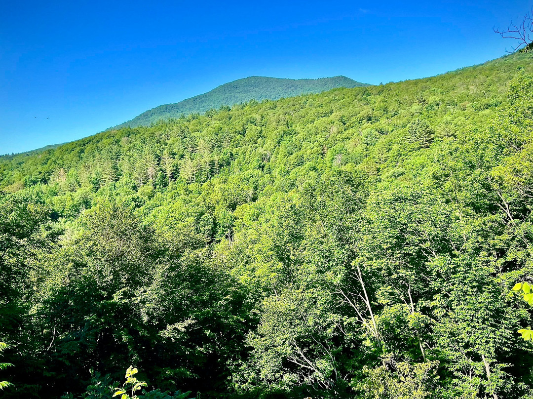 Aerie Inn of Vermont主图