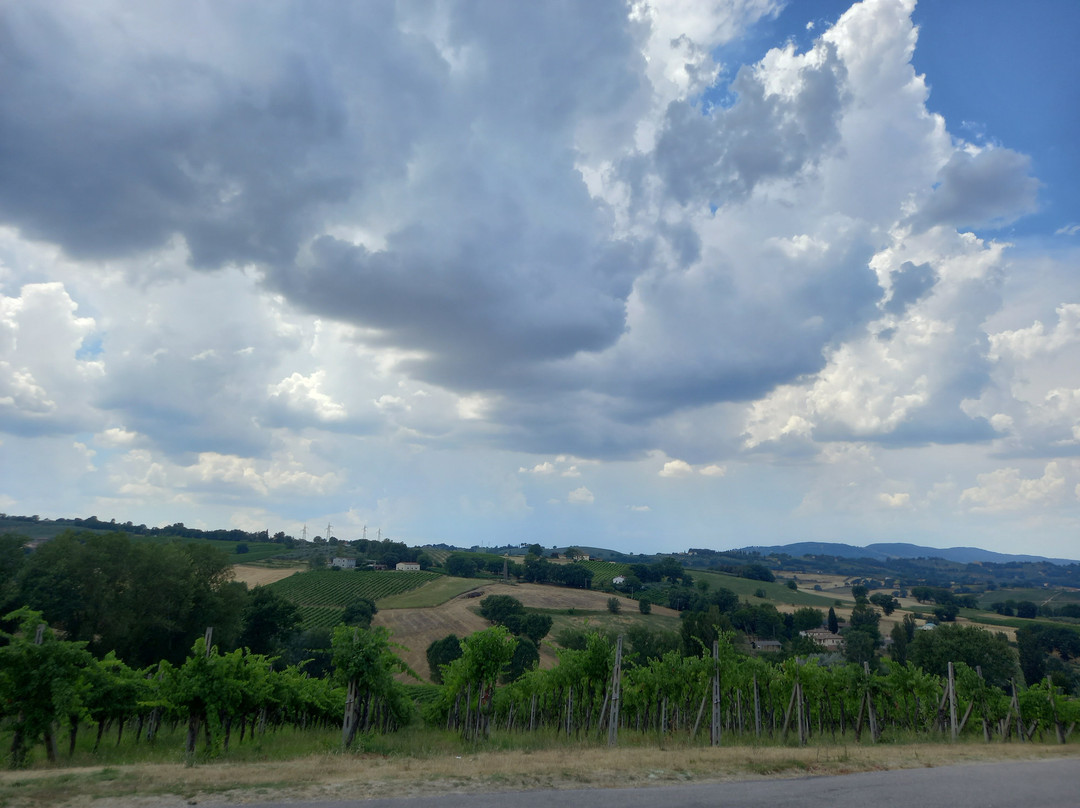 Cantina La Veneranda-Montefalco必去景点