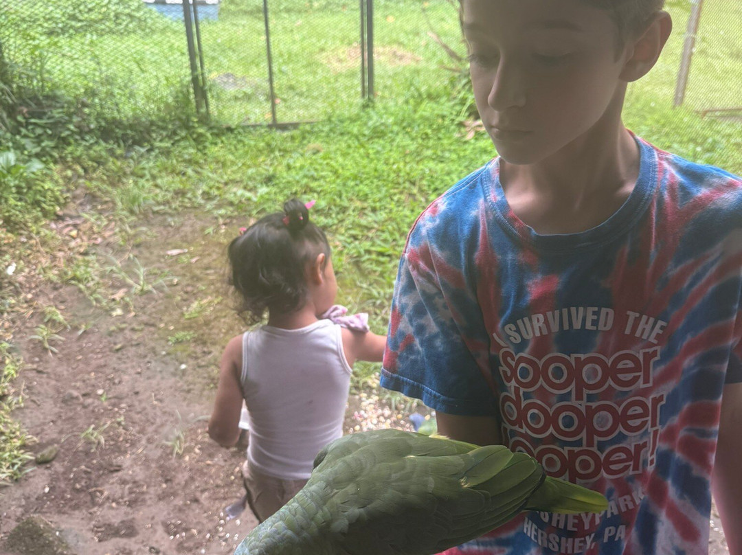 Jungla de Panama Wildlife Refuge-波魁特必去景点