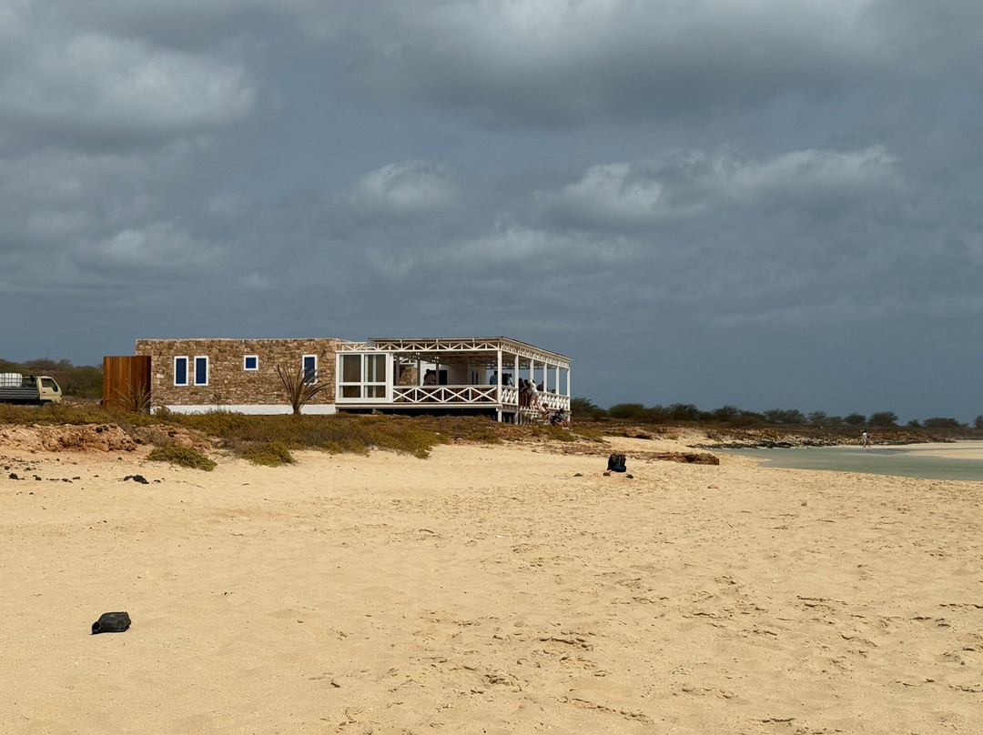 Santa Monica Beach-圣莫尼卡必去景点