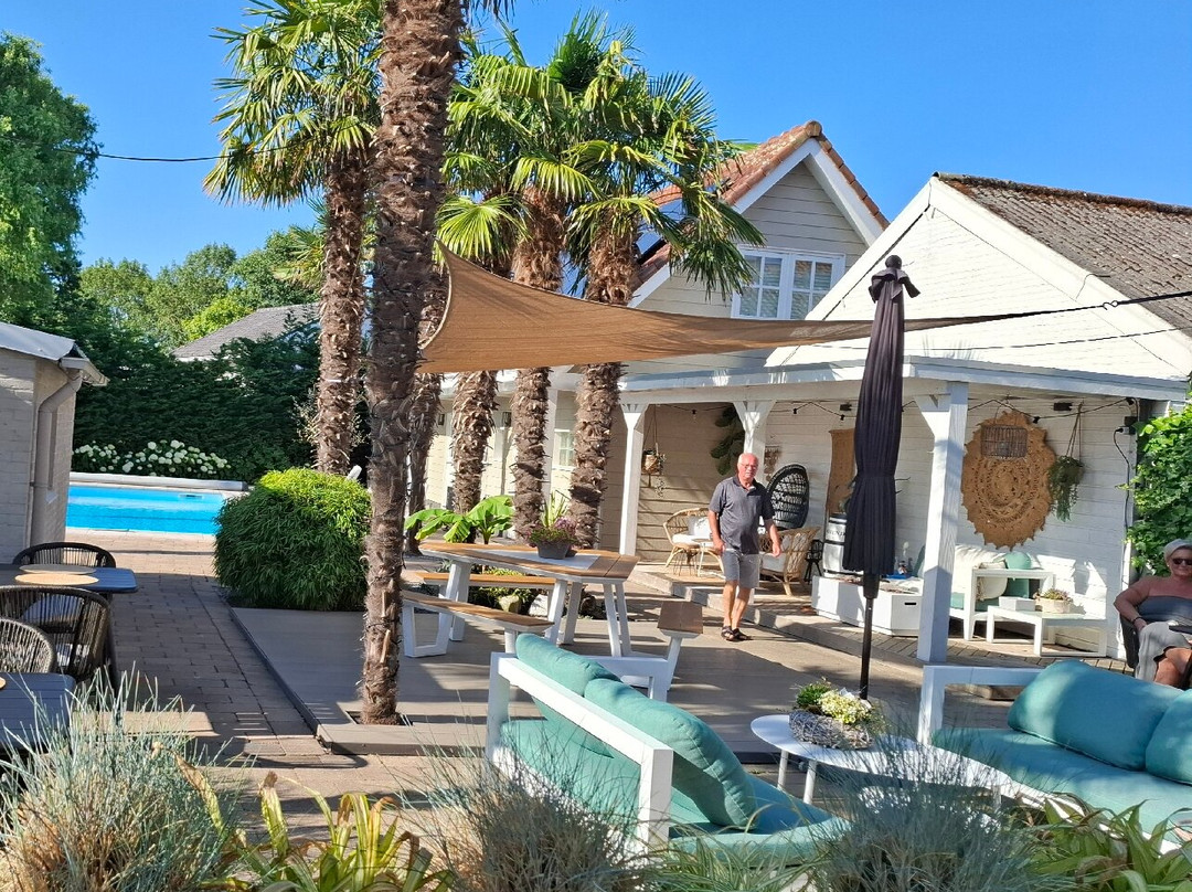 De Heerlijkheid van Noordwelle主图