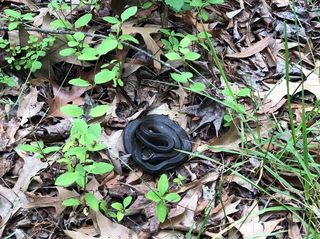 Beverly Triton Nature Park-Edgewater必去景点