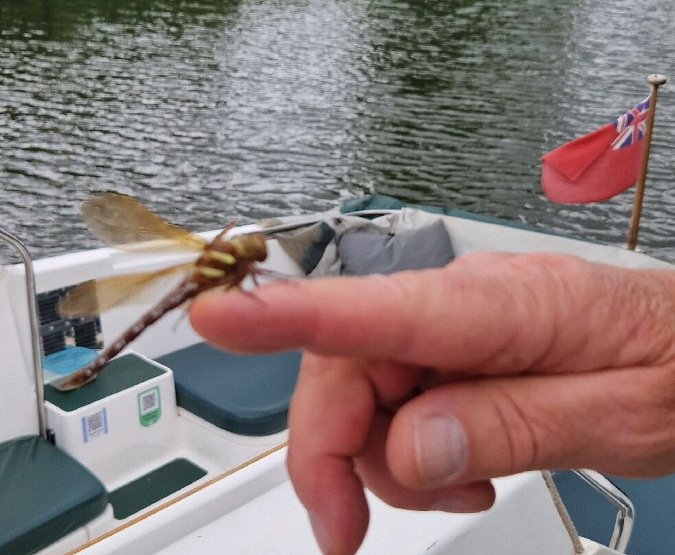 Tonbridge River Trips-汤布里奇必去景点