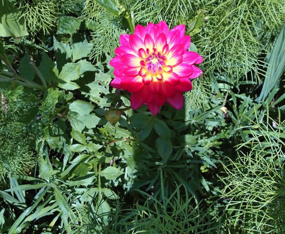 Holme for Gardens-韦勒姆必去景点