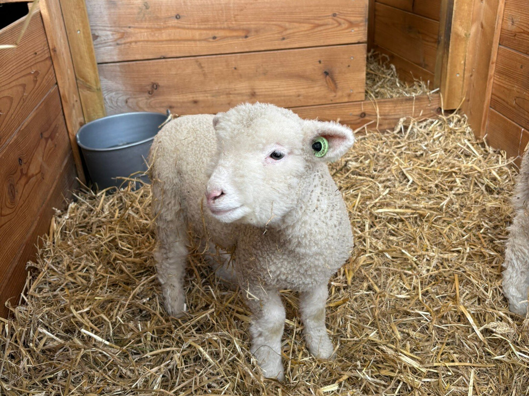 Harm's Hoeve-Malden必去景点