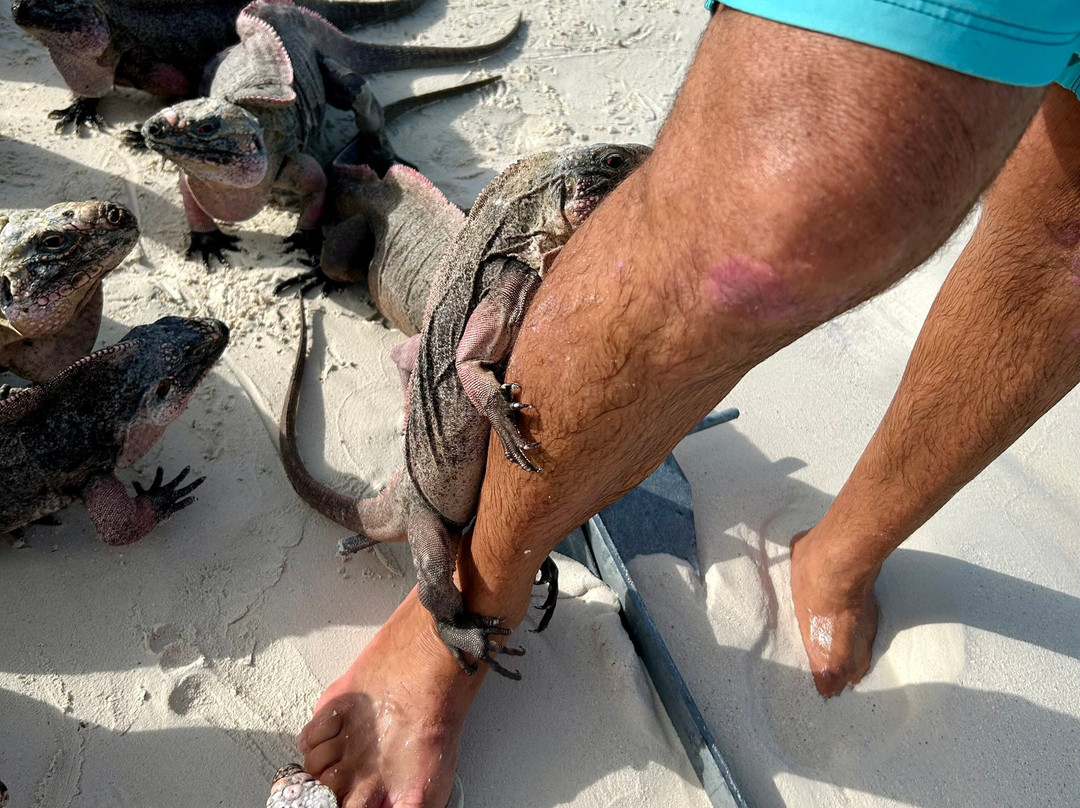 G. Sea Adventures-George Town必去景点