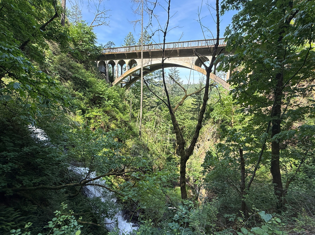 Shepperd's Dell State Natural Area-劳特代尔必去景点