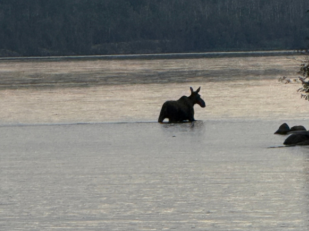 Keweenaw Adventure Company-Copper Harbor必去景点