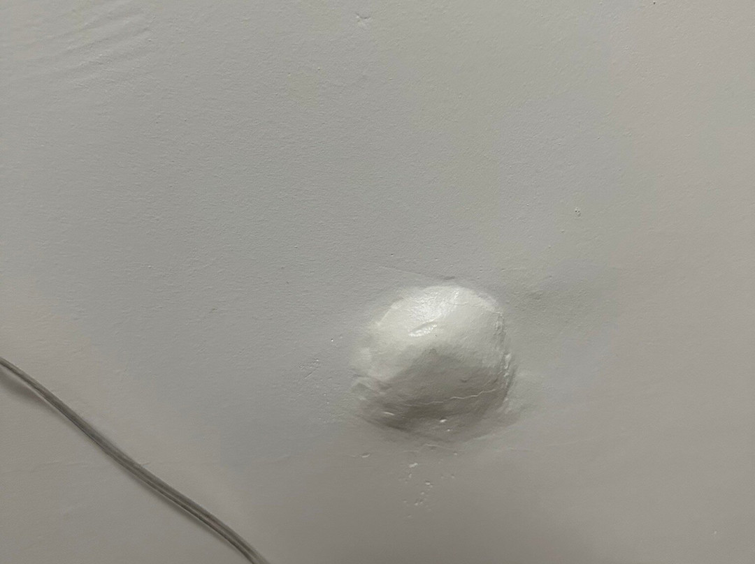 Pikes Peak Inn主图