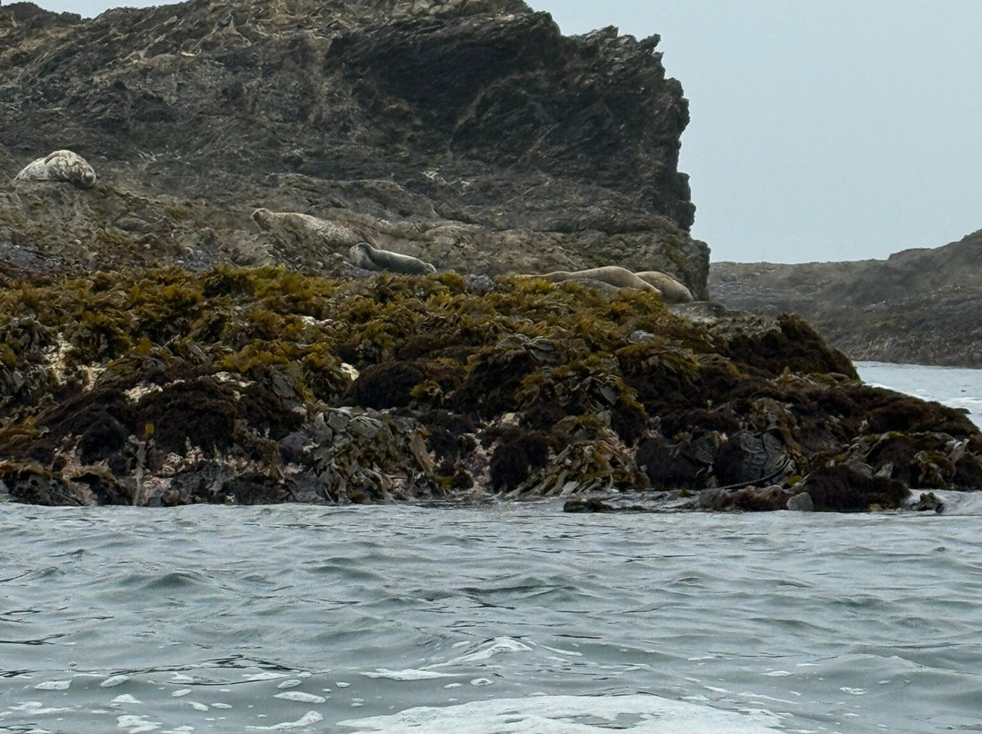 Kayak Mendocino-Little River必去景点