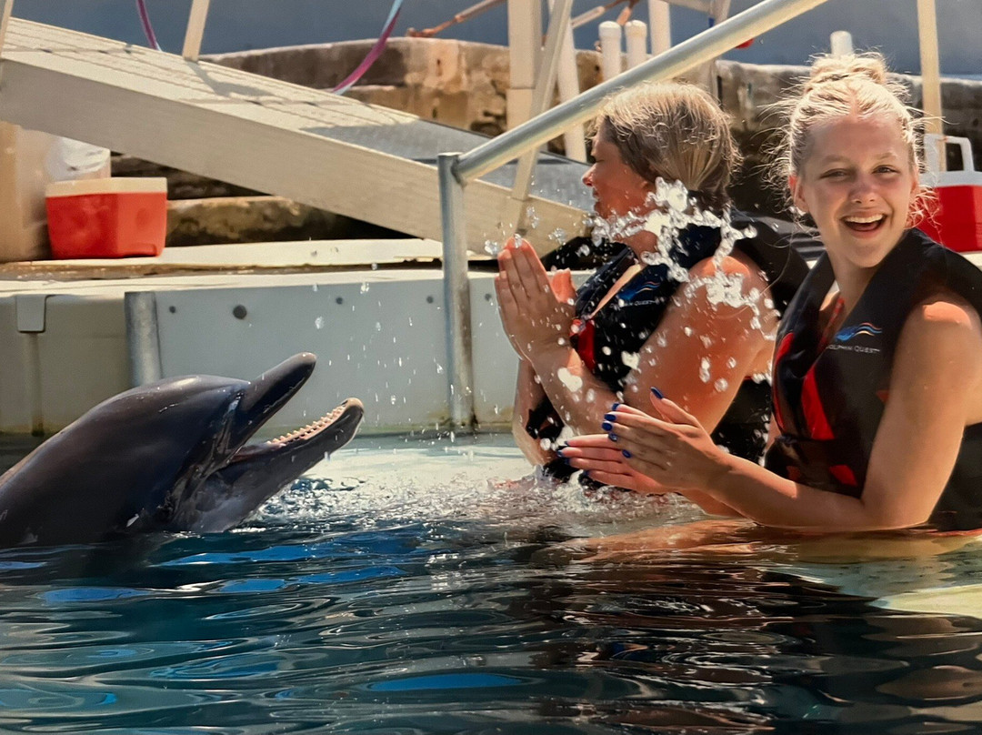 Dolphin Quest-Sandys Parish必去景点