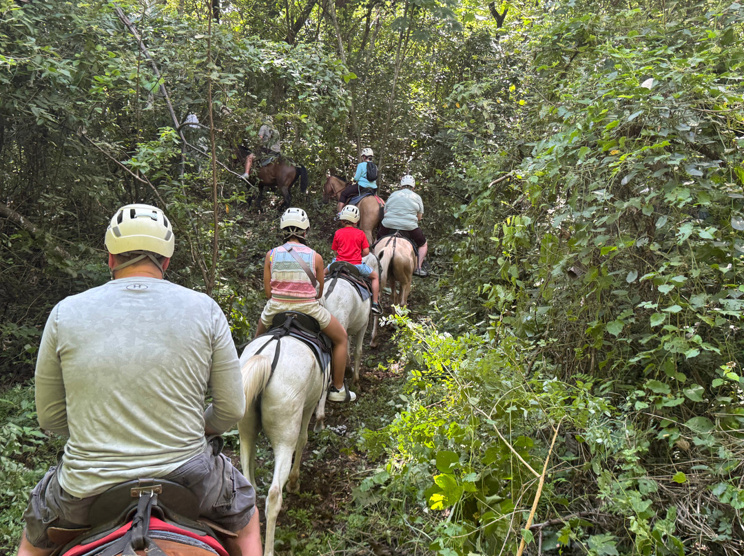 Adventours Costa Rica-Playa Flamingo必去景点