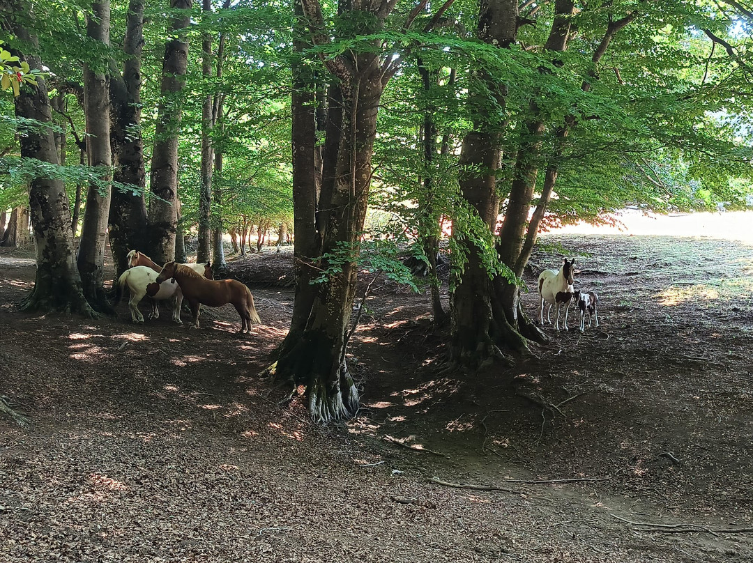 Cartotrekking-阿杰罗拉必去景点