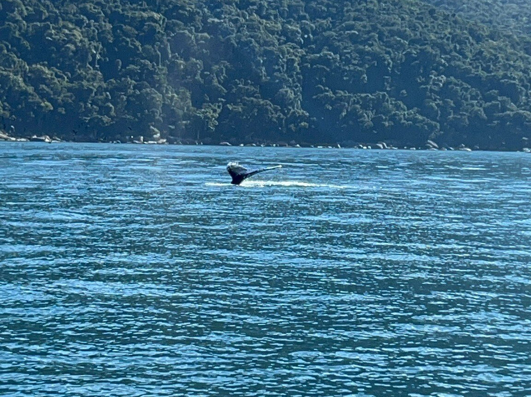 Maremar Turismo-伊利亚贝拉必去景点