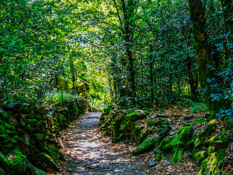 Sentiero Azzurro Mergozzo - Montorfano