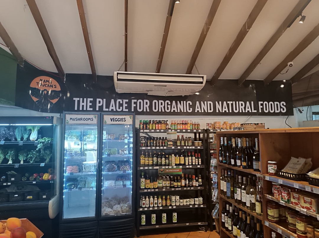 Mama Toucan's Natural and Organic Food Store-主日镇必去景点