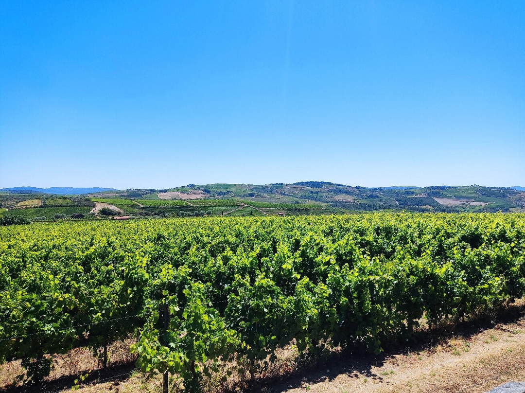 Quinta da Avessada - Enoteca Douro-Favaios必去景点