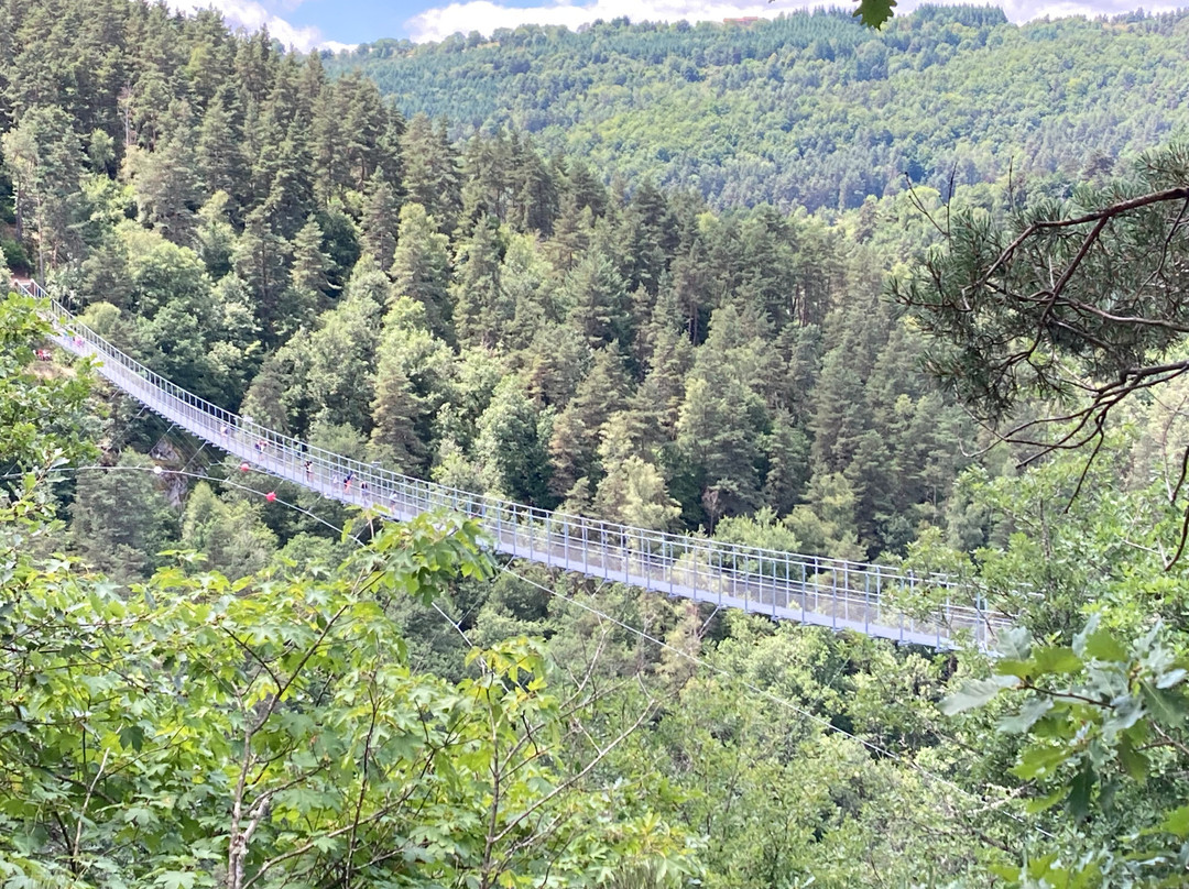 Passerelle Des Gorges Du Lignon