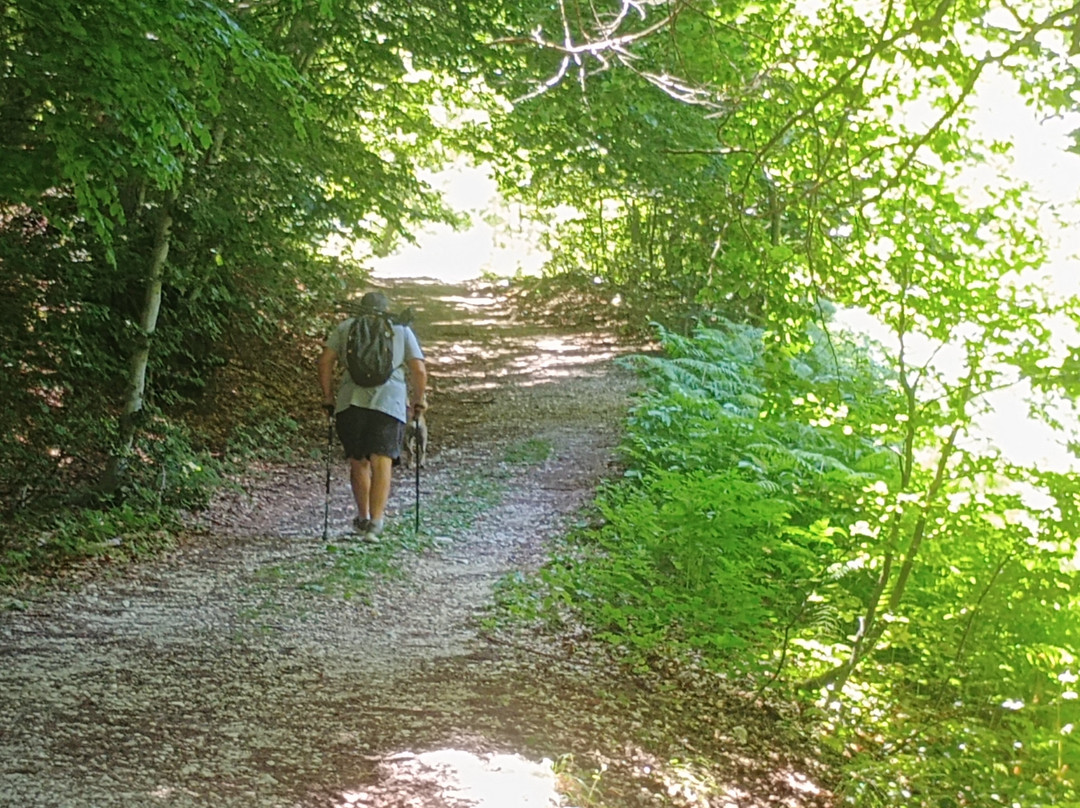Riserva Naturale Lama Bianca-Roccacaramanico必去景点