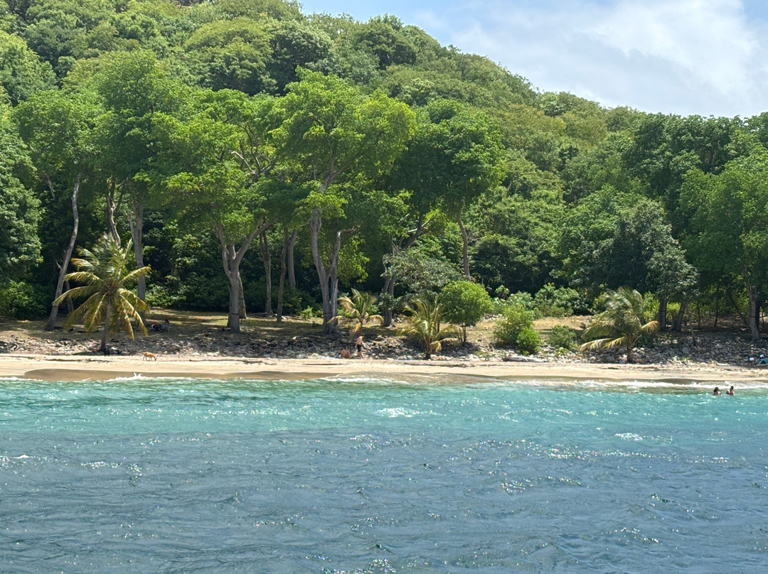 Ti Prens-Saint Francois必去景点