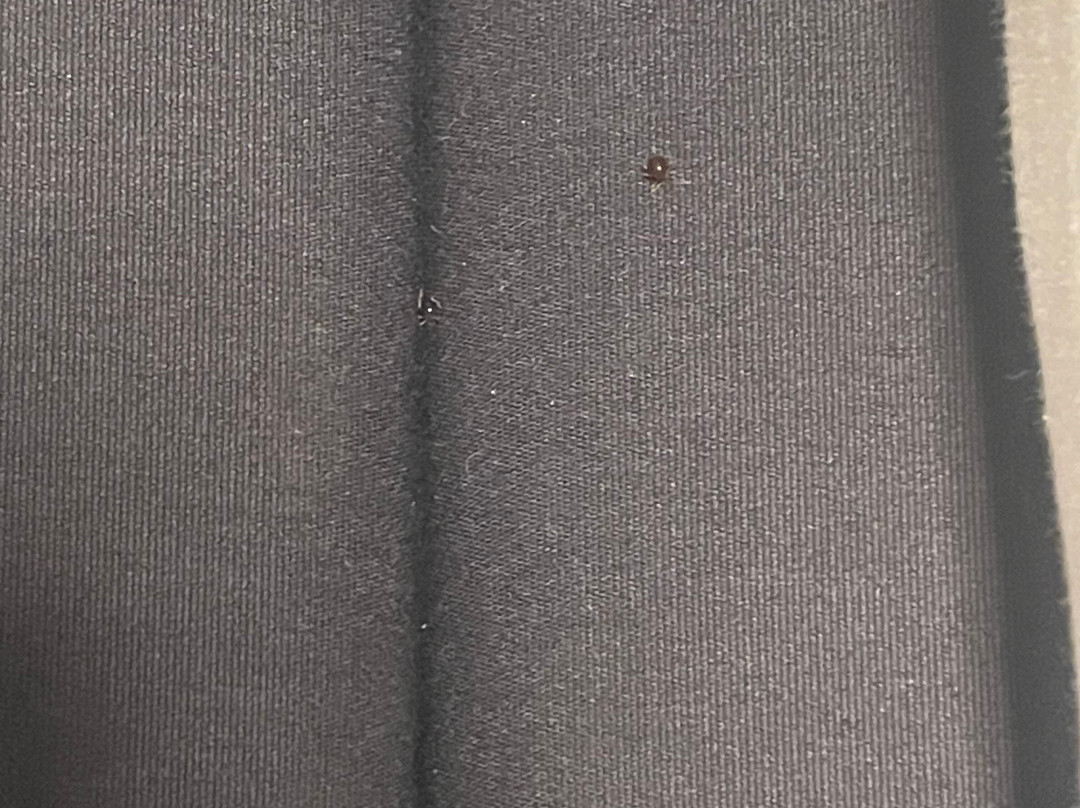 MY HOME Hotel Lamm Rottweil主图