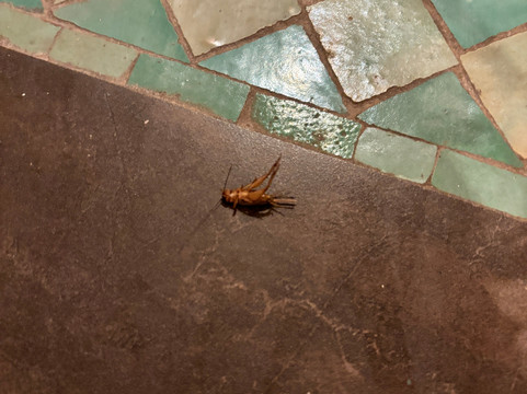 Jaal Riad Resort主图