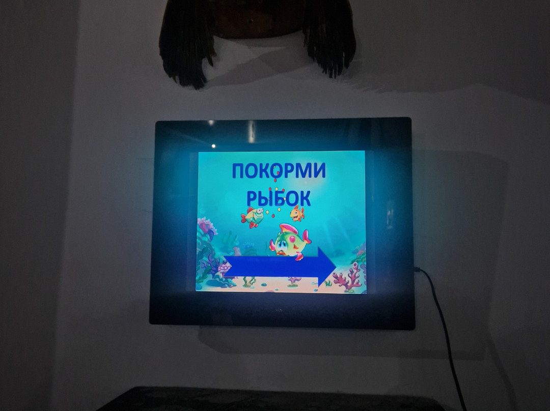 Sevastopol Aquarium-塞瓦斯托波尔必去景点