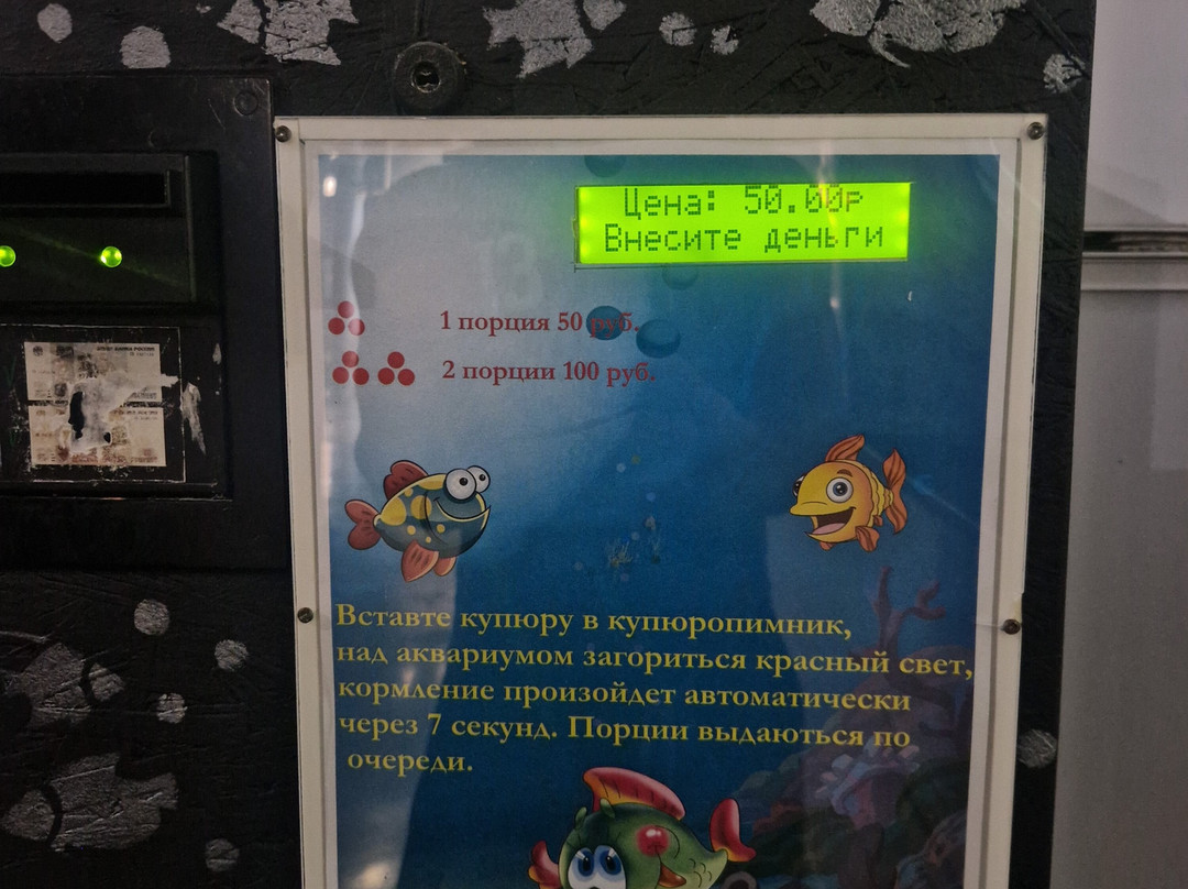 Sevastopol Aquarium-塞瓦斯托波尔必去景点