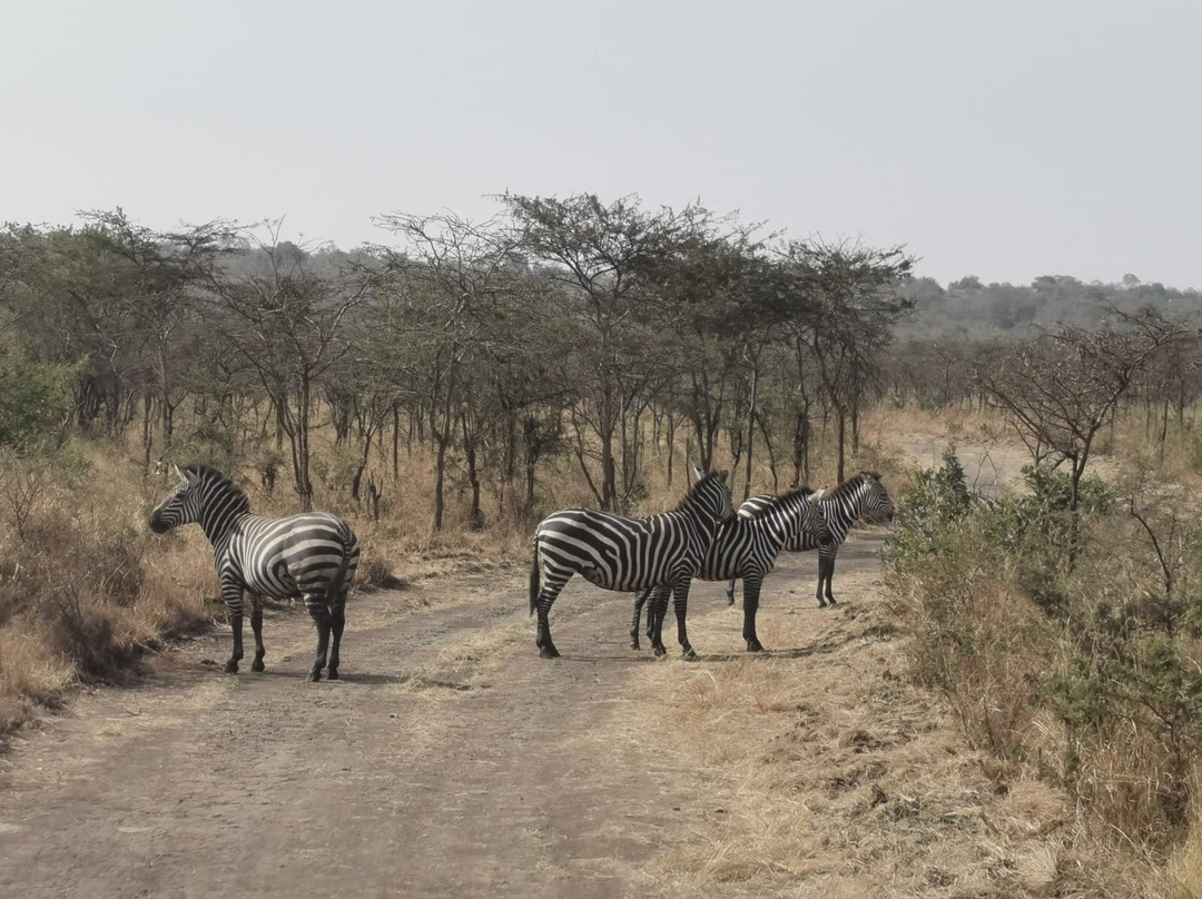 Explore RwandaTours-吉佳利必去景点