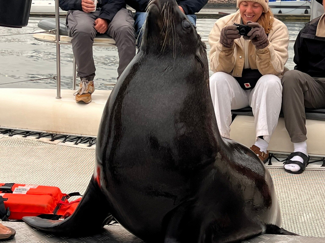 iVenture Sandwich Harbor Tours & Guides-华维斯湾必去景点