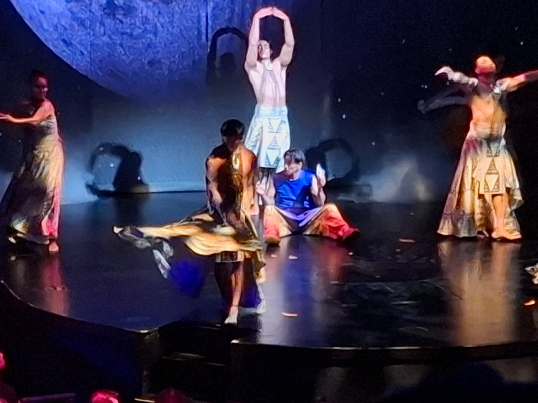 Cirque du Soleil 'Auana-火奴鲁鲁必去景点