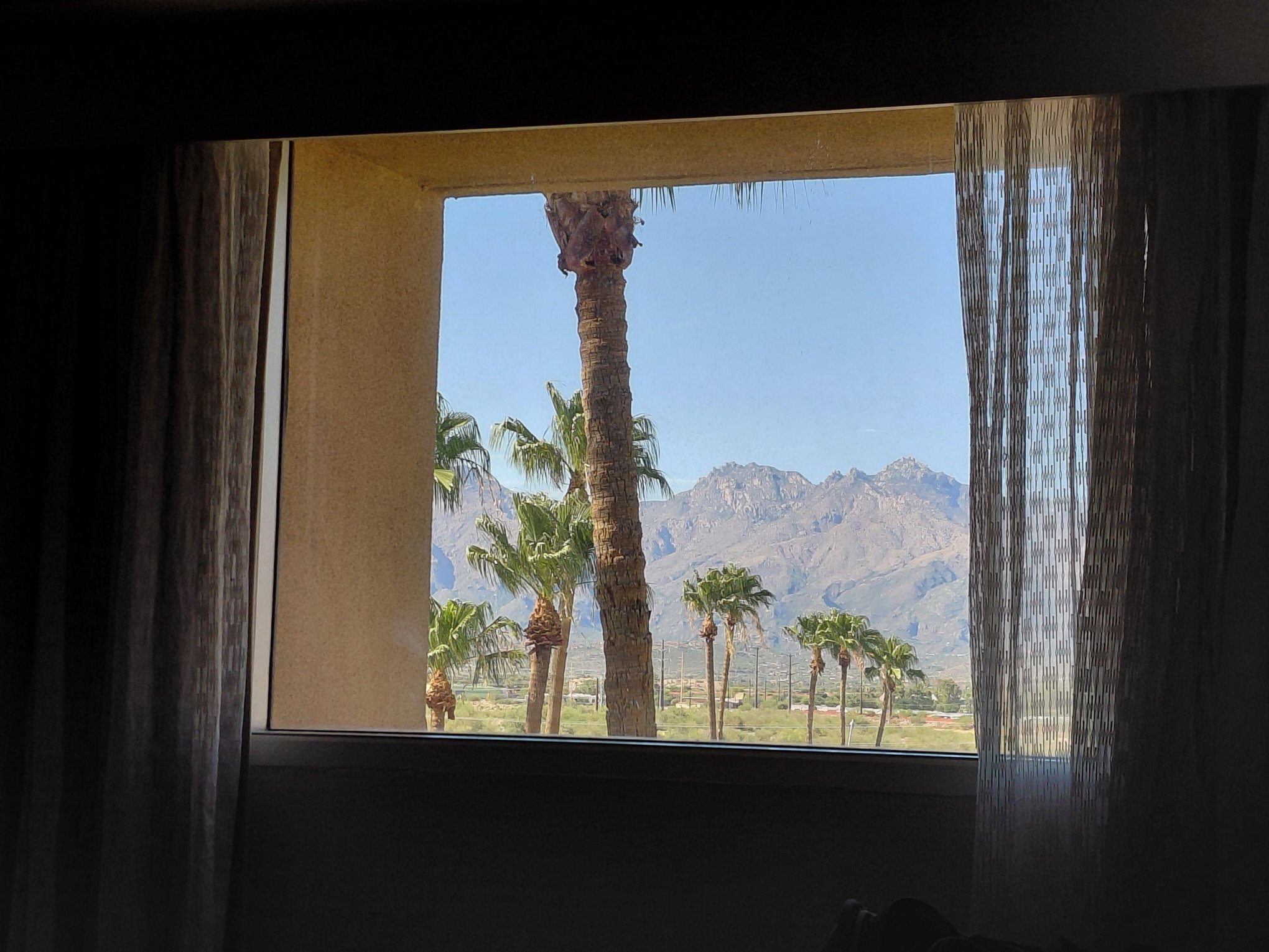 Hilton Tucson East-客卧