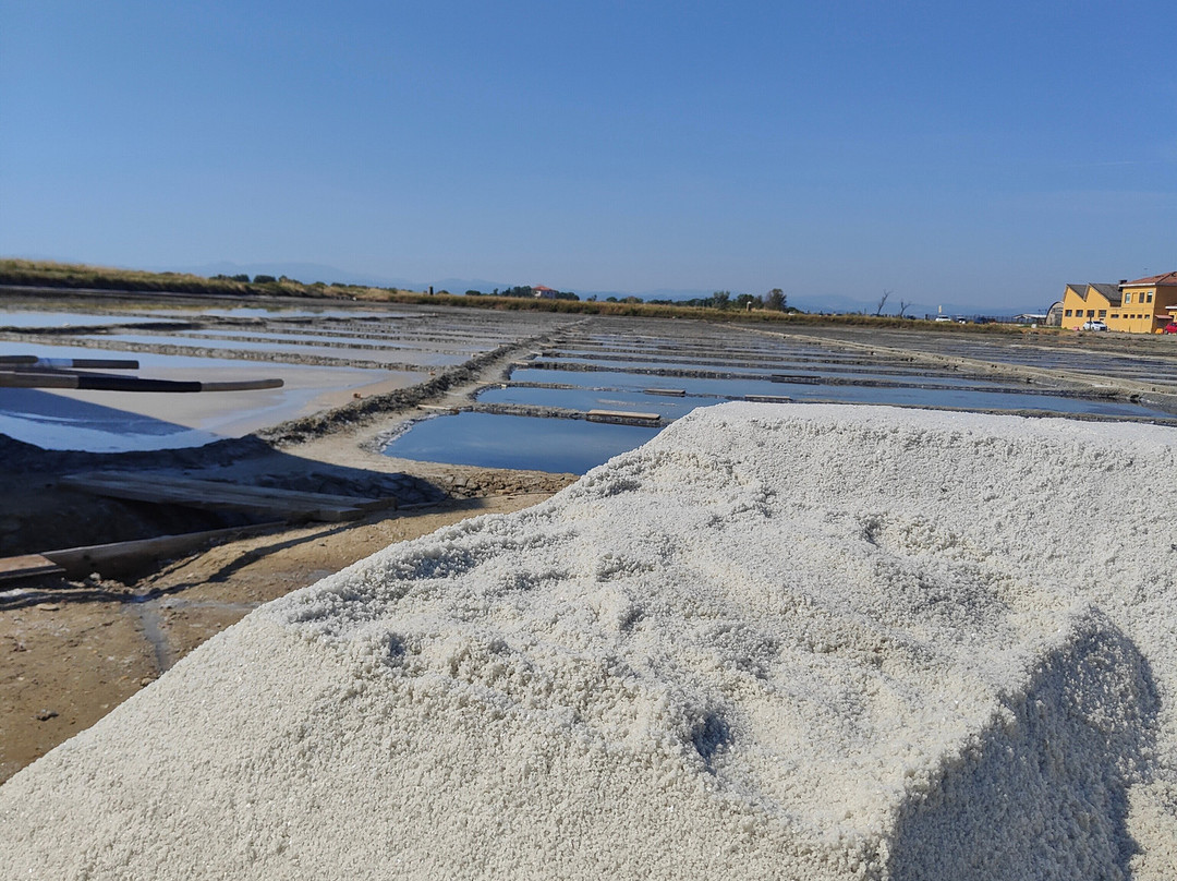 Salina Camillone-切尔维亚必去景点