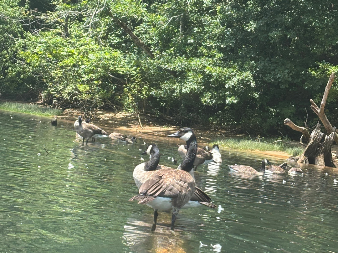 White River Kayaking & Outdoors-Hollister必去景点