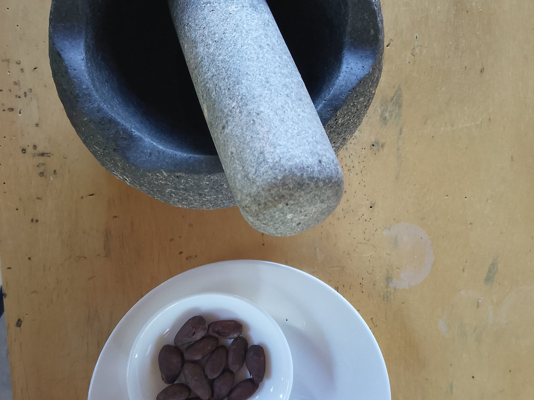 TIO JOSE COFFEE TOUR-葛雷西亚必去景点