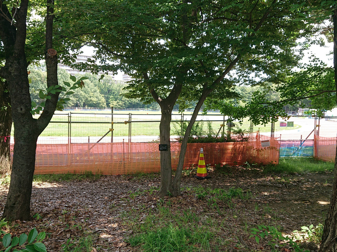 Higashiyamatominami Park-东大和市必去景点