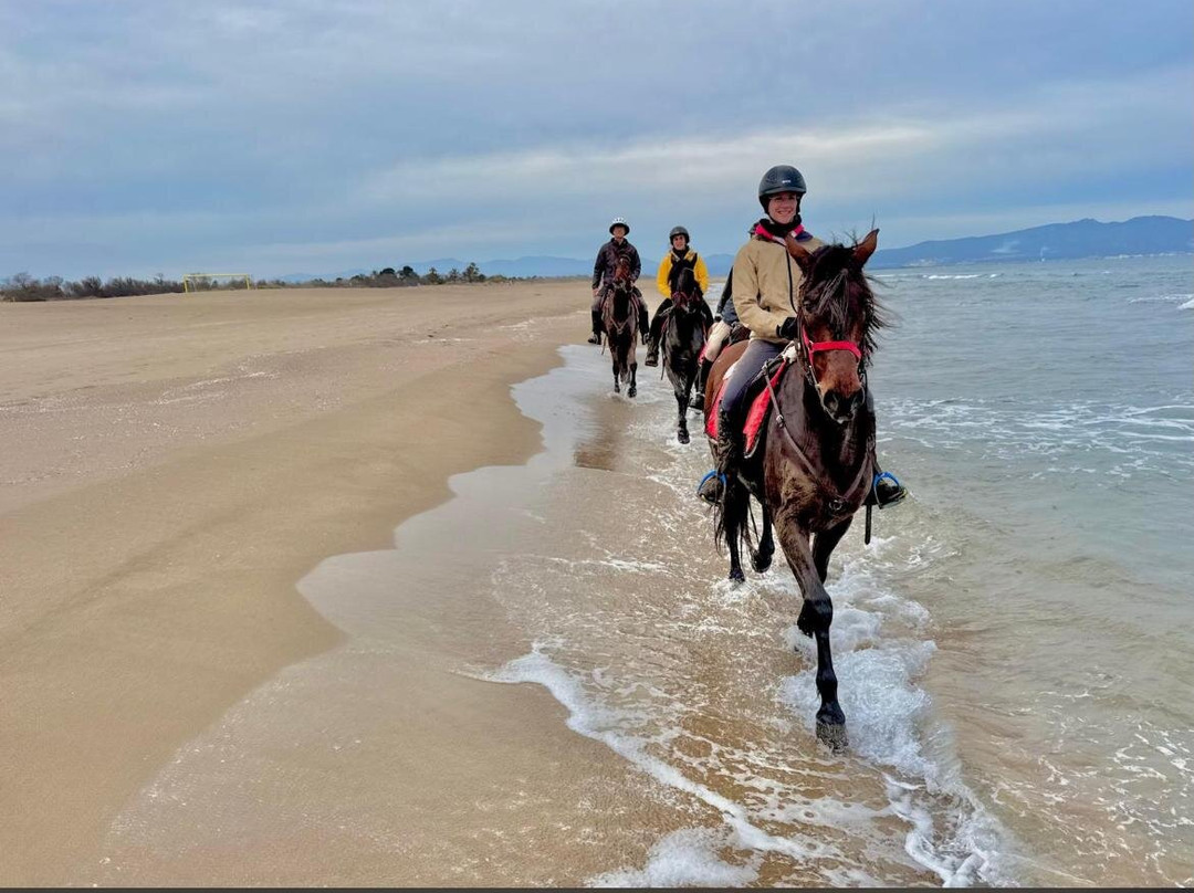 Panorama Trails-Terradelles必去景点