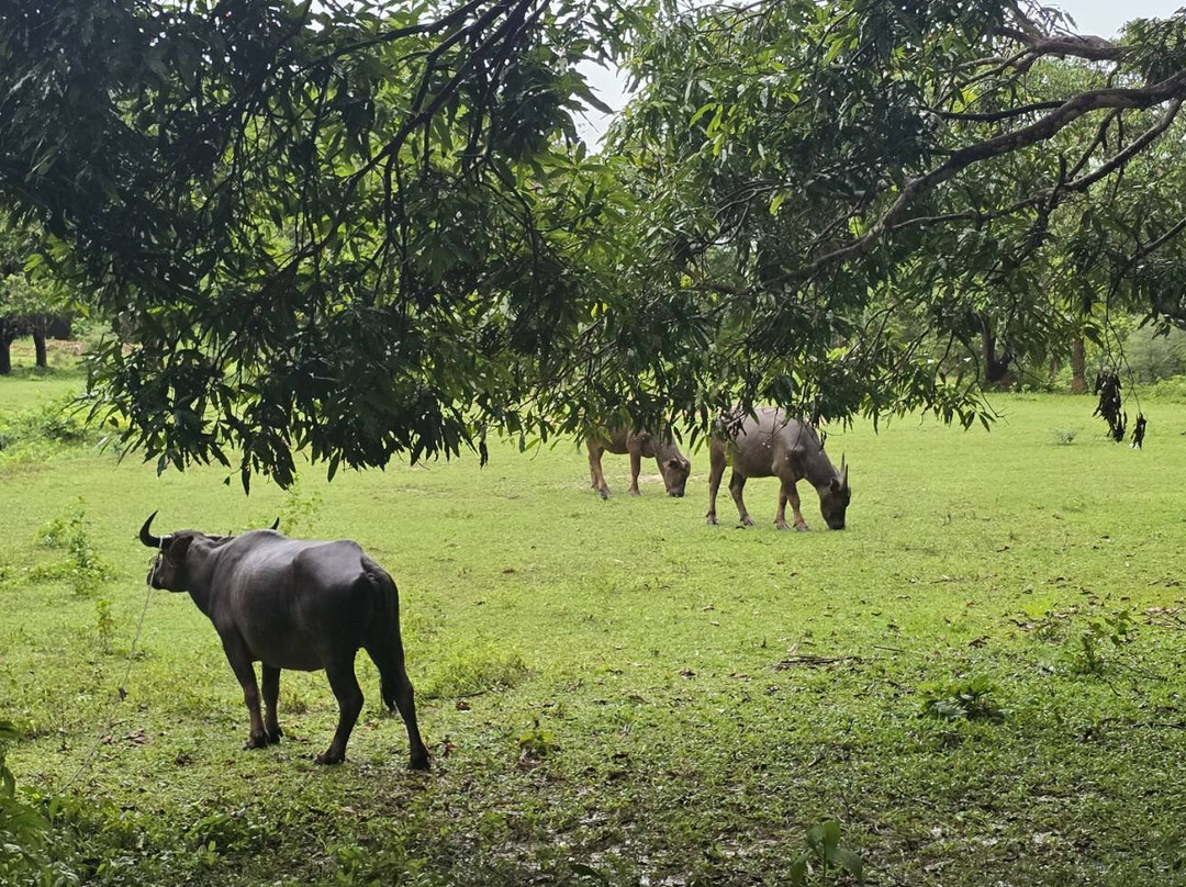 王同自然公园度假村主图